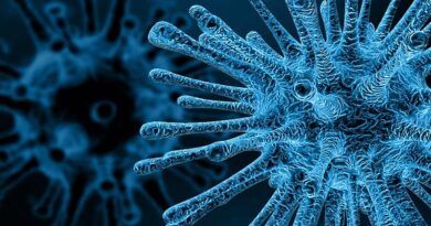 Novo coronavírus: transmissão, prevenção e sintomas