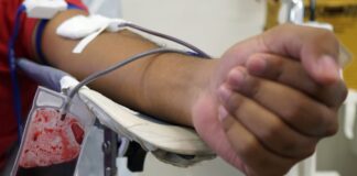 Triagem de sangue em hemocentros terá teste de malária triagem