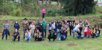 solidariedade e sustentabilidade