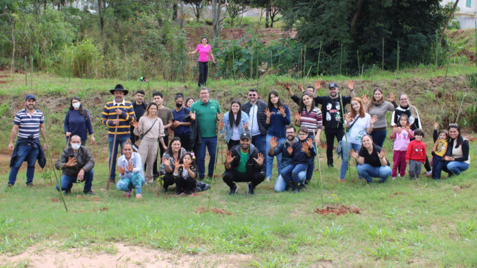 solidariedade e sustentabilidade solidariedade e sustentabilidade