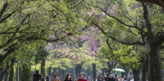 Cartilha ensina como liberar emoções de bem-estar e felicidade felicidade