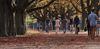 Cuidados com a pele no outono pele outono