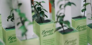 Bosque da Vida da Unimed Londrina floresce há 15 anos bosque da vida