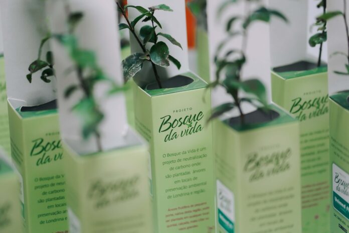 bosque da vida bosque da vida