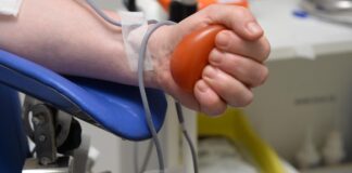 Doação de sangue e medula óssea: colaboradores da Unimed Paraná tiram dúvidas em palestra doação de sangue e