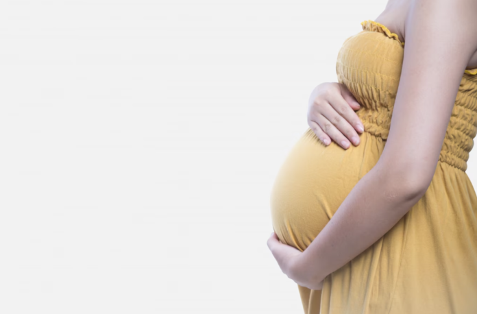 gestação jcomp gestação