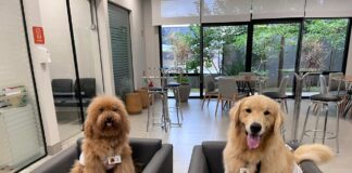 Instituto Unimed Curitiba distribui mais de 6 mil peças em Campanha do Agasalho instituto curitiba