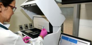 Maior estudo sobre epilepsia do mundo revela ‘arquitetura genética’ da doença e indica novas terapias Técnica do CEPID BRAINN durante as análises em estudo sobre a epilepsia