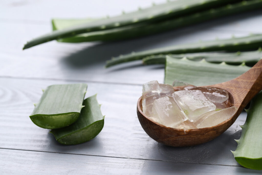 A Aloe vera é utilizada para aliviar os sintomas da psoríase.