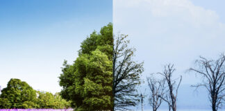 Transtorno afetivo sazonal