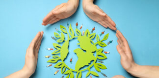 meio ambiente e saúde