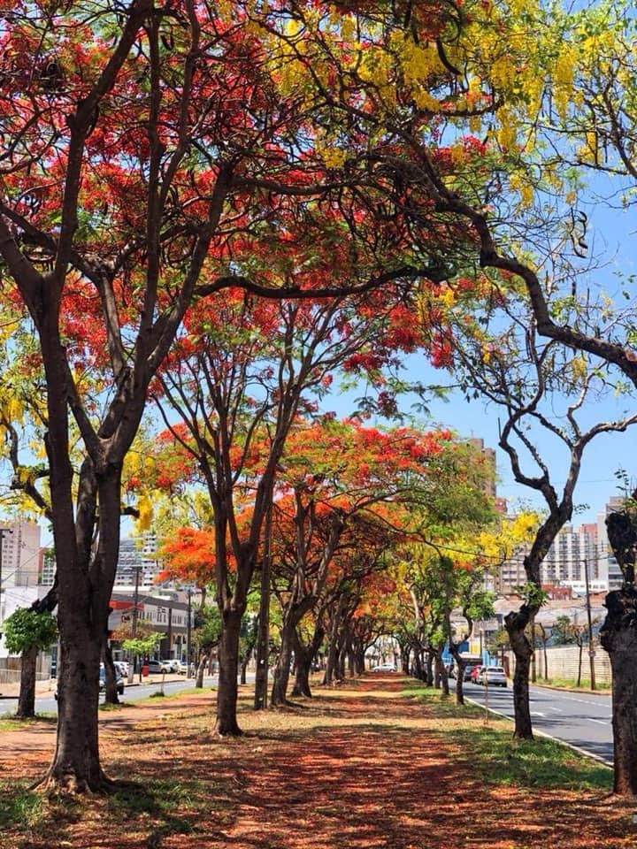 Foto Dr Vitor_Hobbies (1)