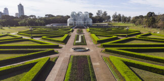 Curitiba, salve 331 anos botânico