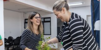 Iniciativas de sustentabilidade marcam o mês do meio ambiente na Unimed Ponta Grossa mês do meio ambiente