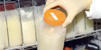 Fiocruz lança Programa de Certificação de Bancos de Leite Humano