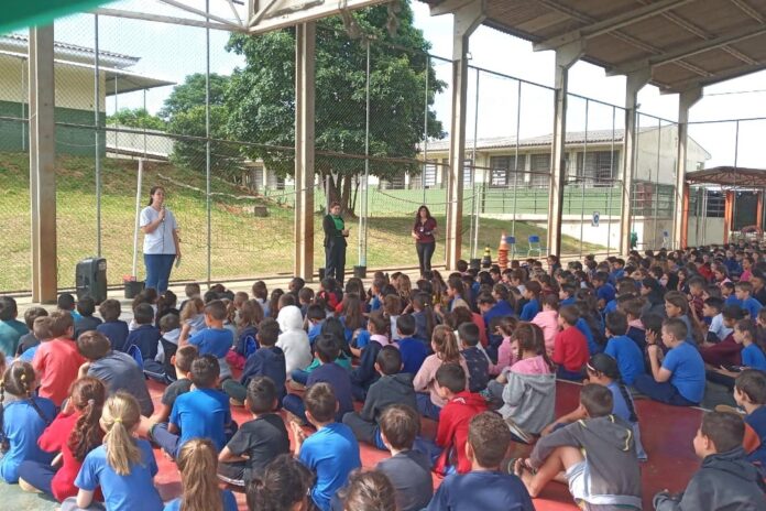 contra a dengue contra a dengue