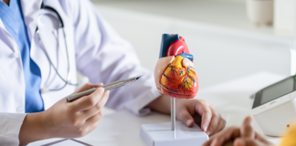 Saúde bucal e o coração: a intrigante conexão que pode afetar nossa saúde saúde bucal e o coração