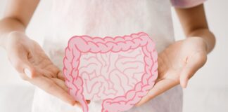 Microbiota: o que é e os cuidados necessários microbiota