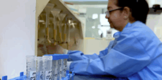 Vacina meningocócica ACWY passa a ser ofertada no SUS; entenda vacina meningocócica ACWY