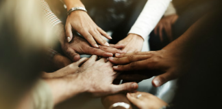 2025 é o Ano Internacional das Cooperativas Ano Internacional das Cooperativas