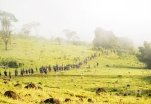 Unimed Londrina dá largada ao Circuito Off-Road 2026 com mais de 1,5 mil participantes Circuito Unimed Off-Road 2026