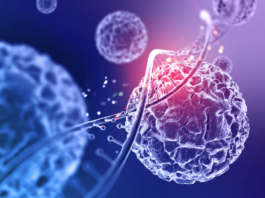 Medicina regenerativa: como funciona e onde pode ser aplicada medicina regenerativa