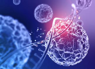 Medicina regenerativa: como funciona e onde pode ser aplicada medicina regenerativa